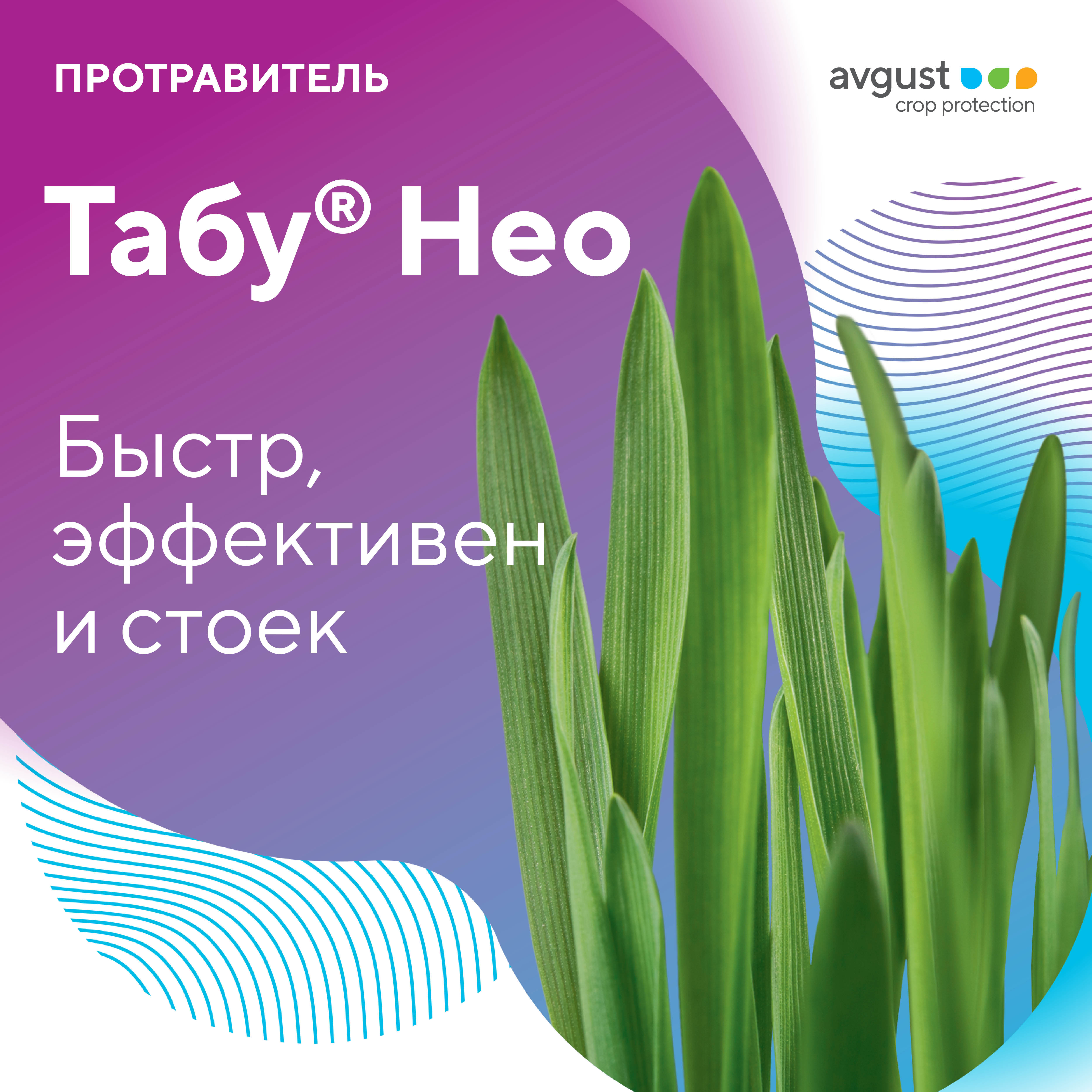 Пост 2.02.2026