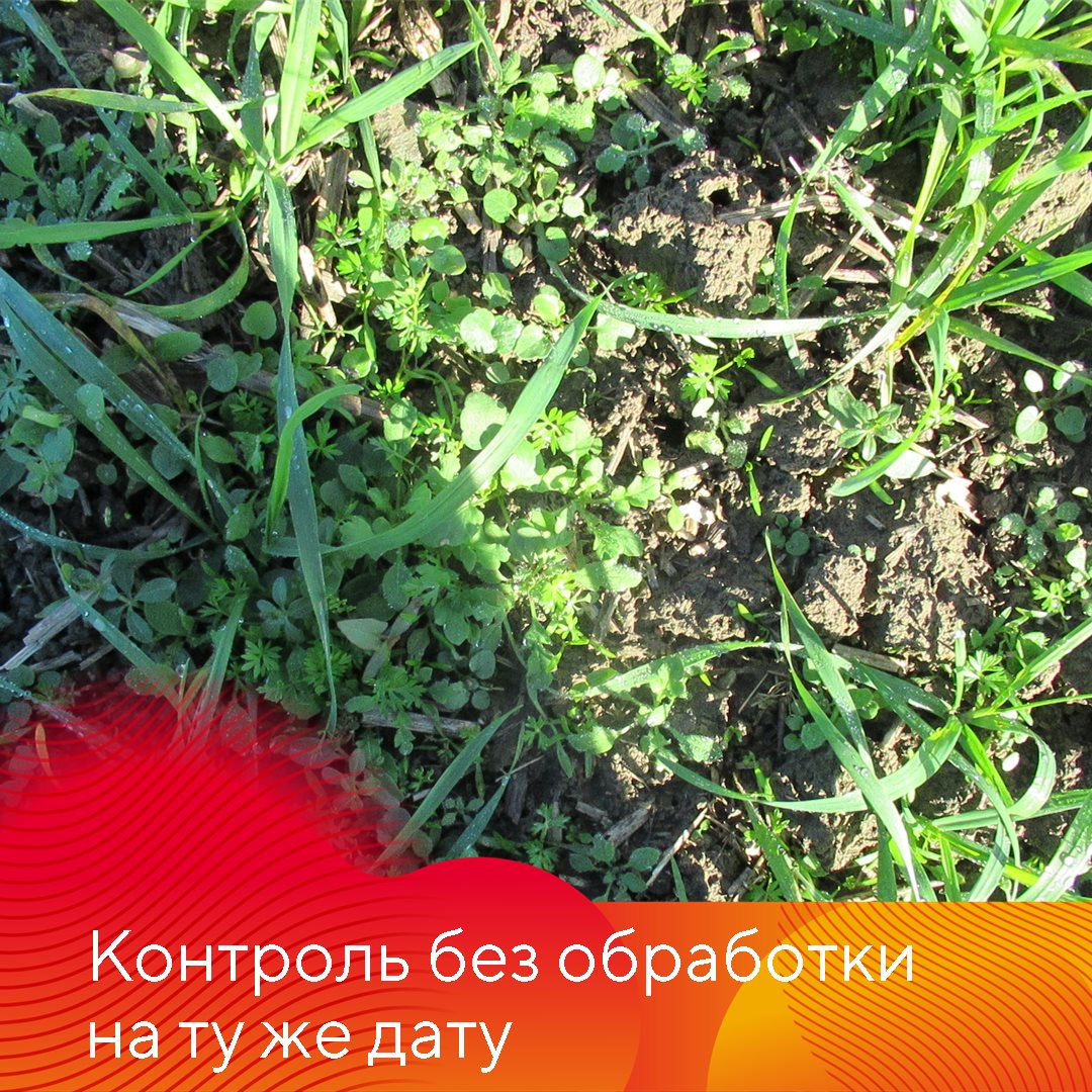 Пост 17.09.2025