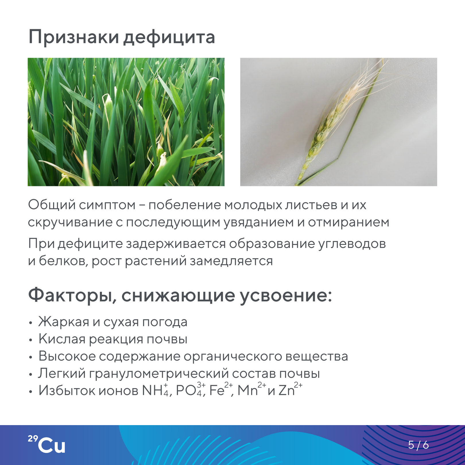 Пост 13.05.2026