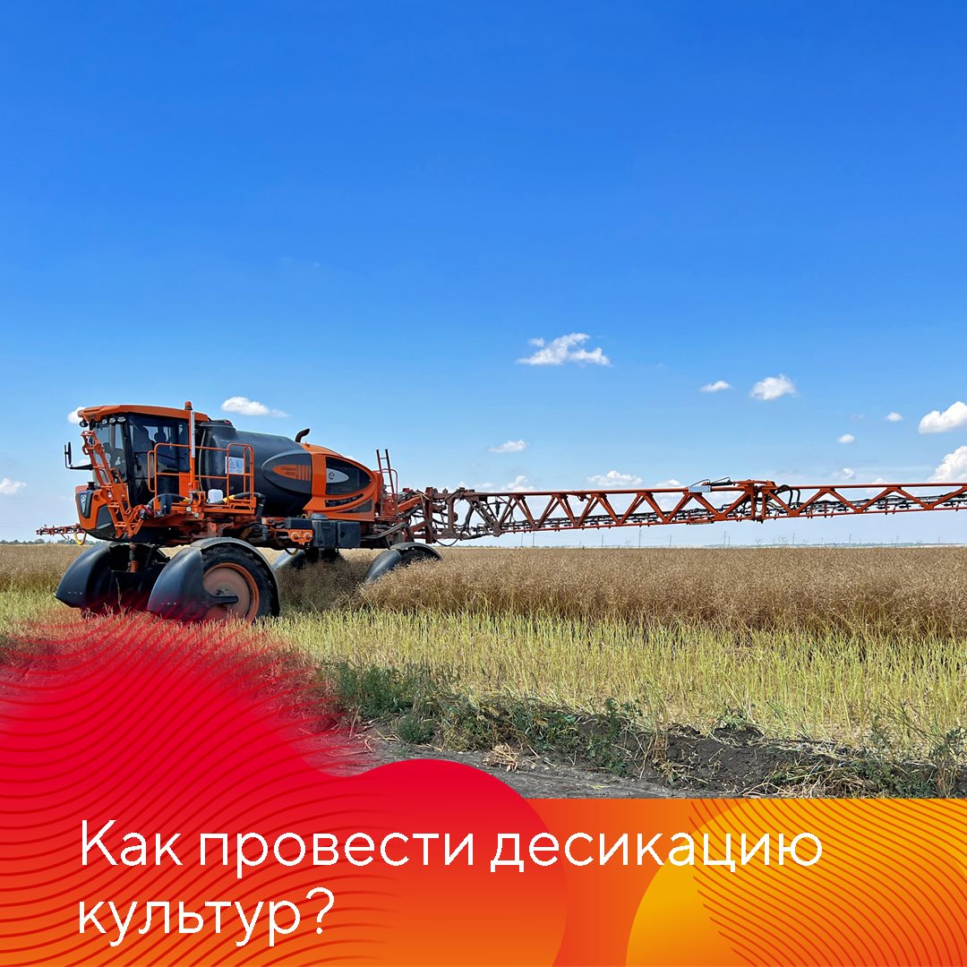 Пост 3.09.2025