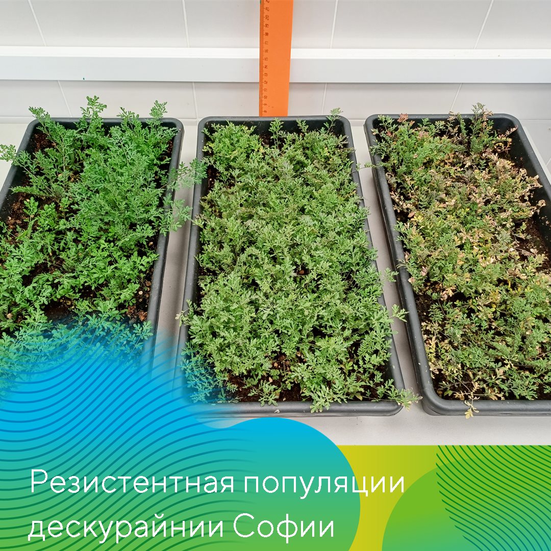 Пост 19.02.2025