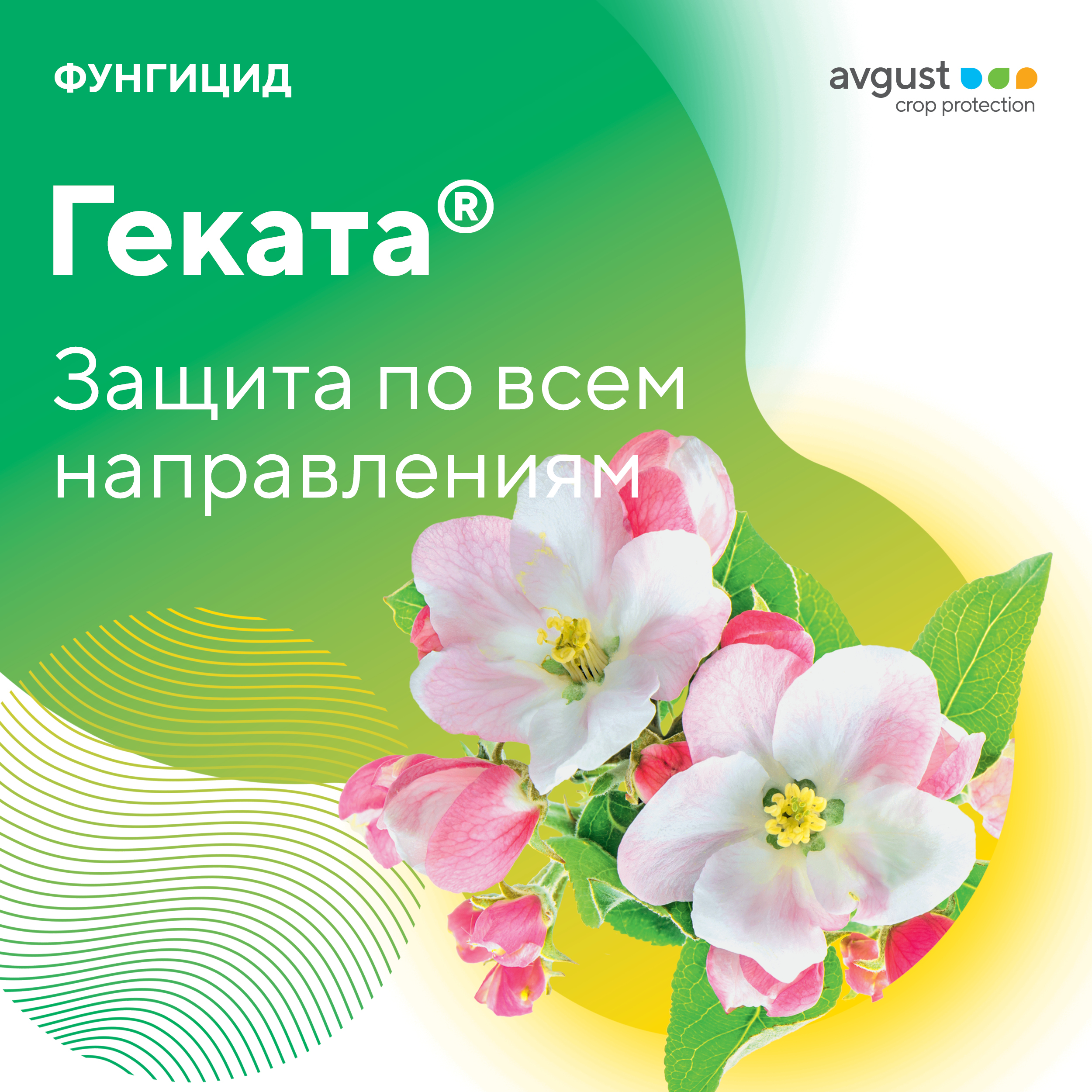 Геката декабрь 2023