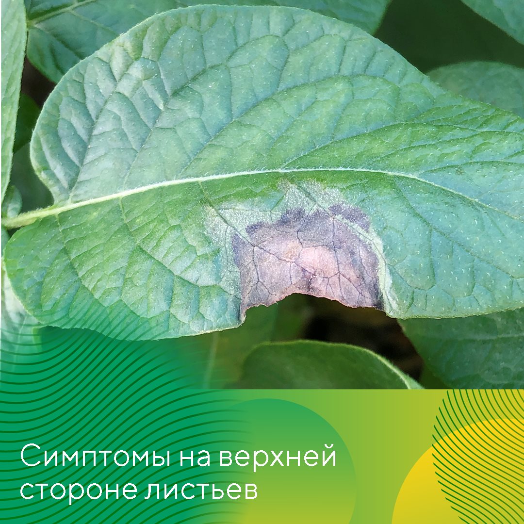 Пост 10.06.2025