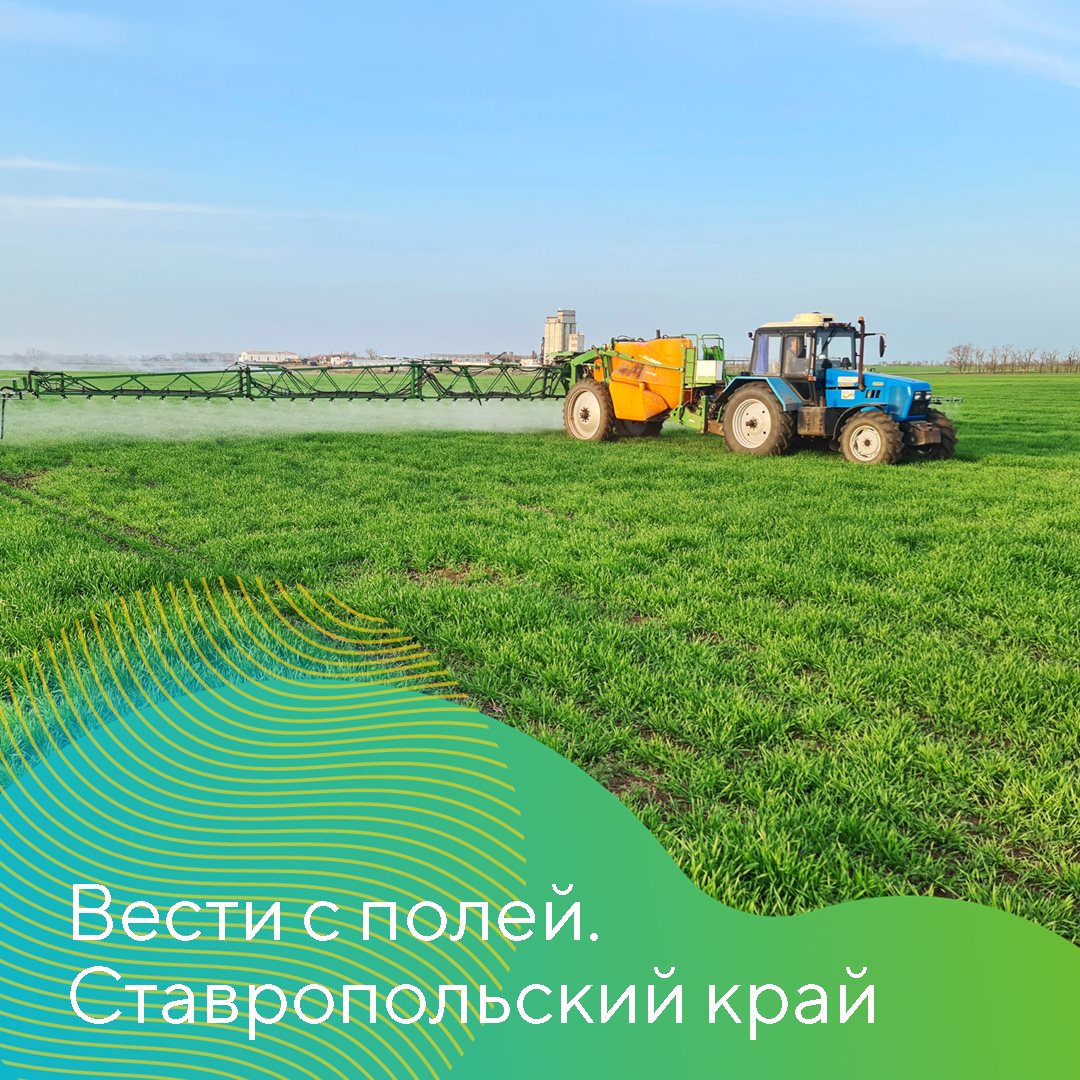 О начале сезона-2023 в Ставропольском крае 