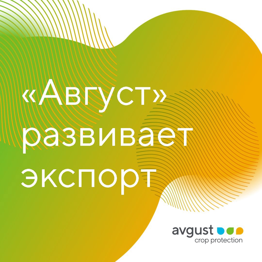 «Августа» развивает экспорт 2022