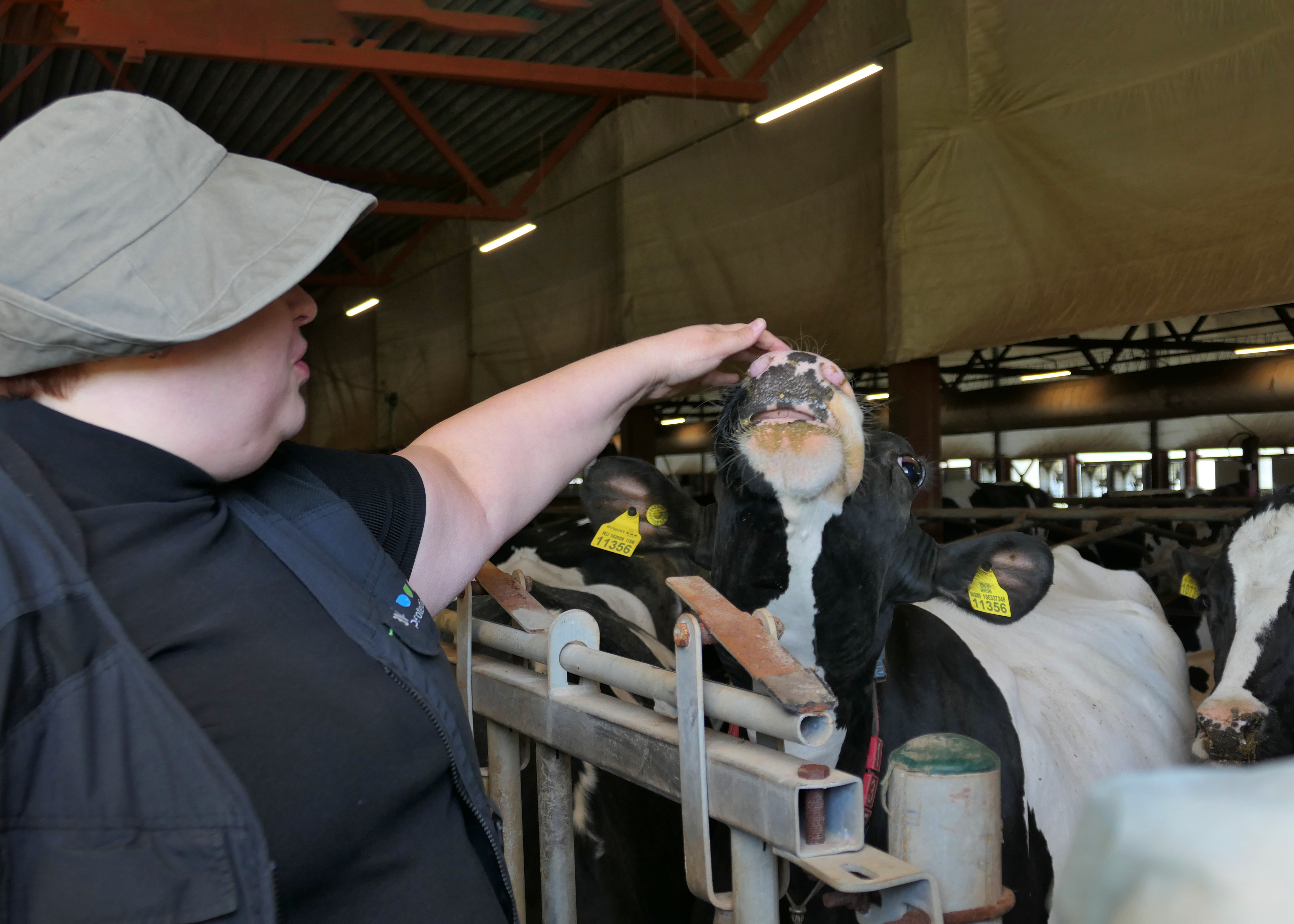 Уразметьево плэнер