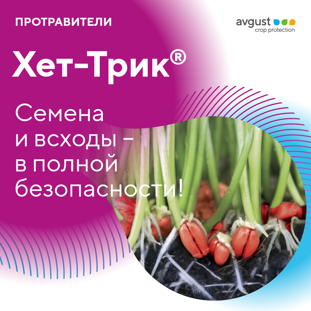 Пост 9.02.2026
