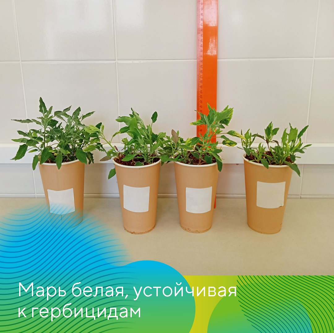 Пост 19.02.2025