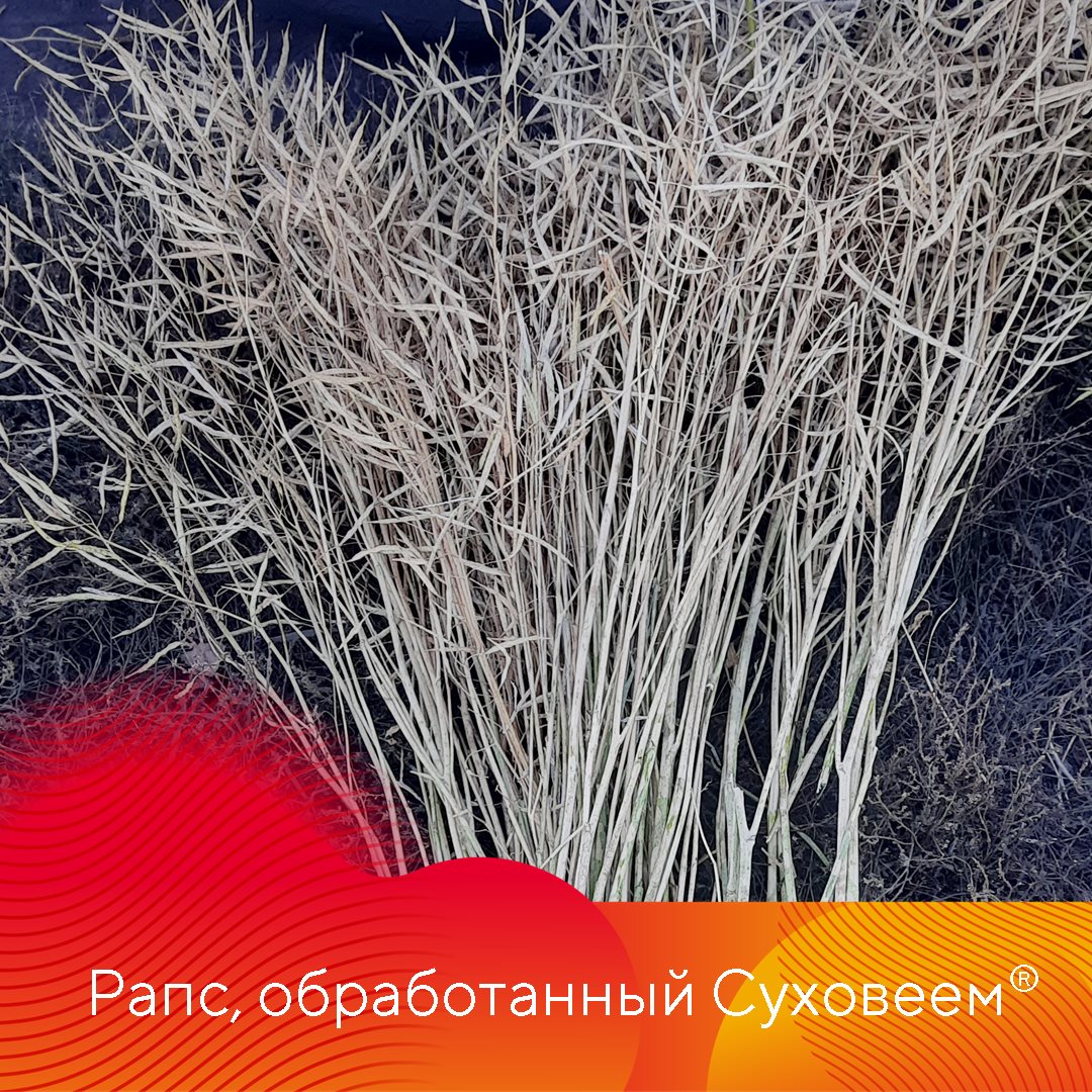 Пост 3.09.2025