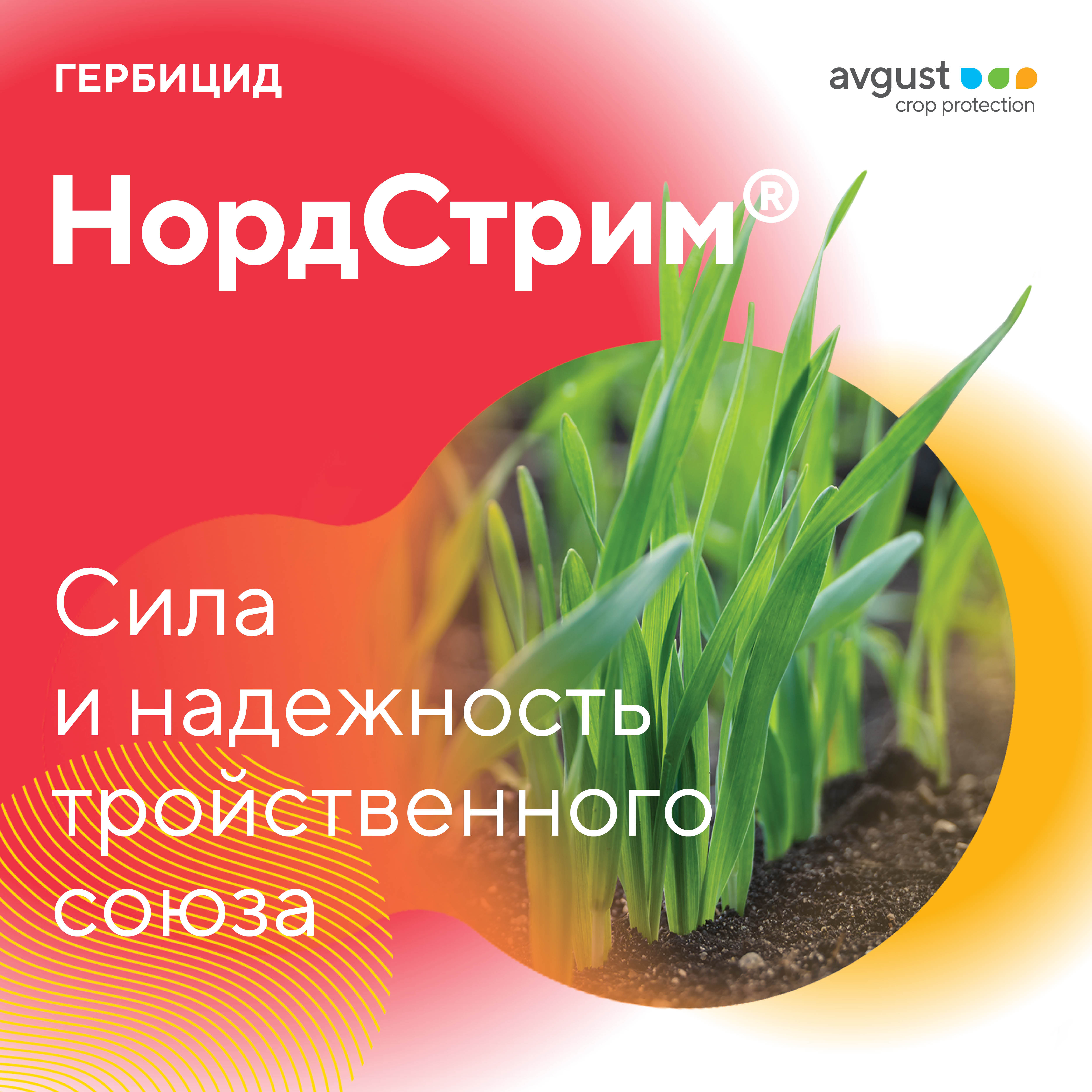 Пост 17122024