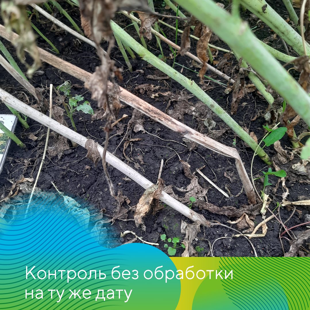 Пост 19.06.2025