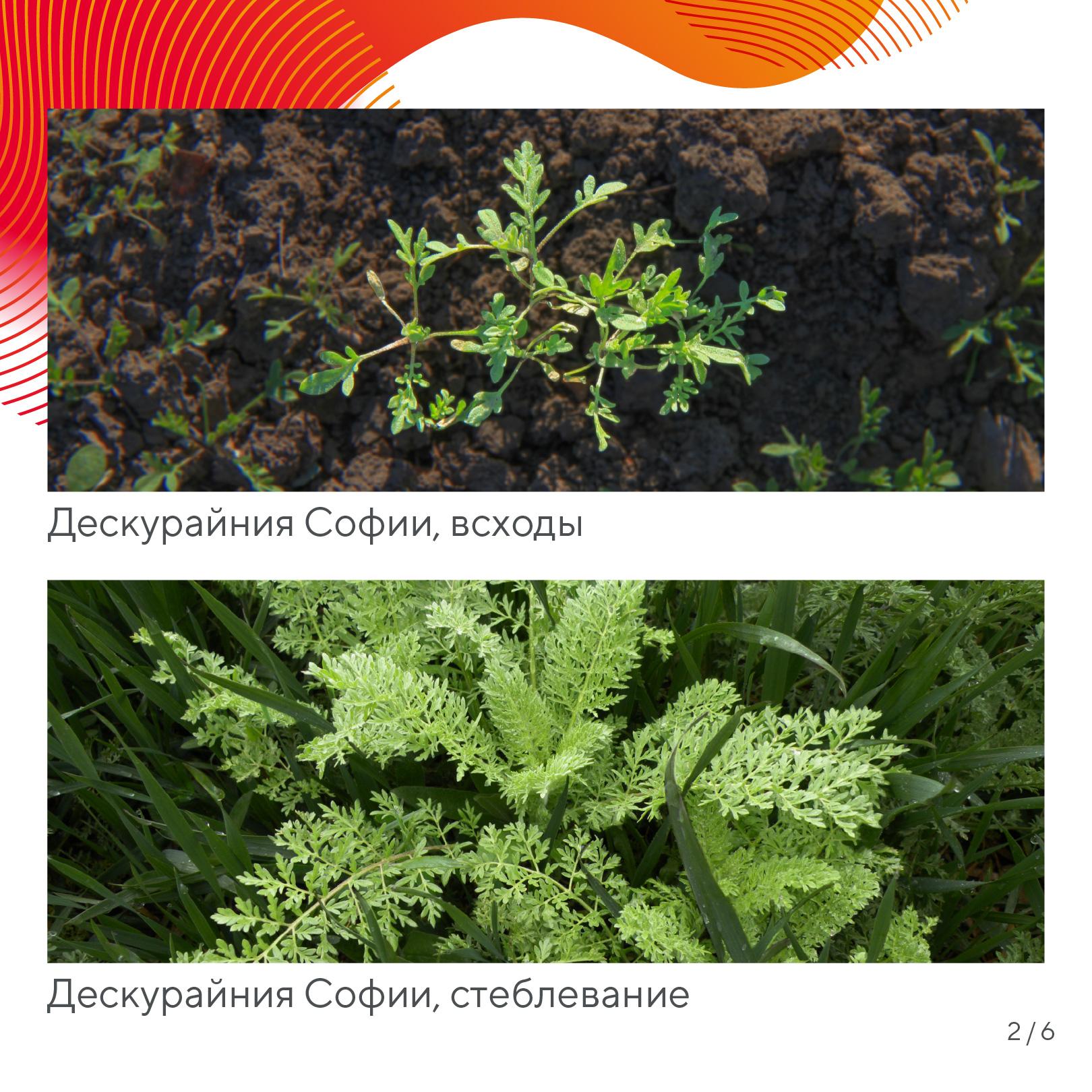 Пост 15.04.2026