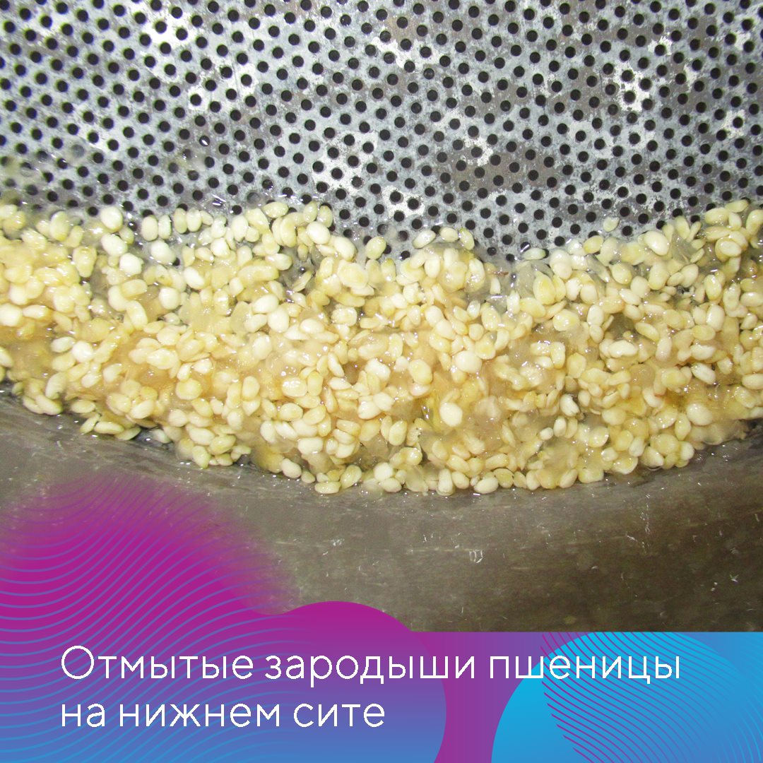Пост 26.11.2024