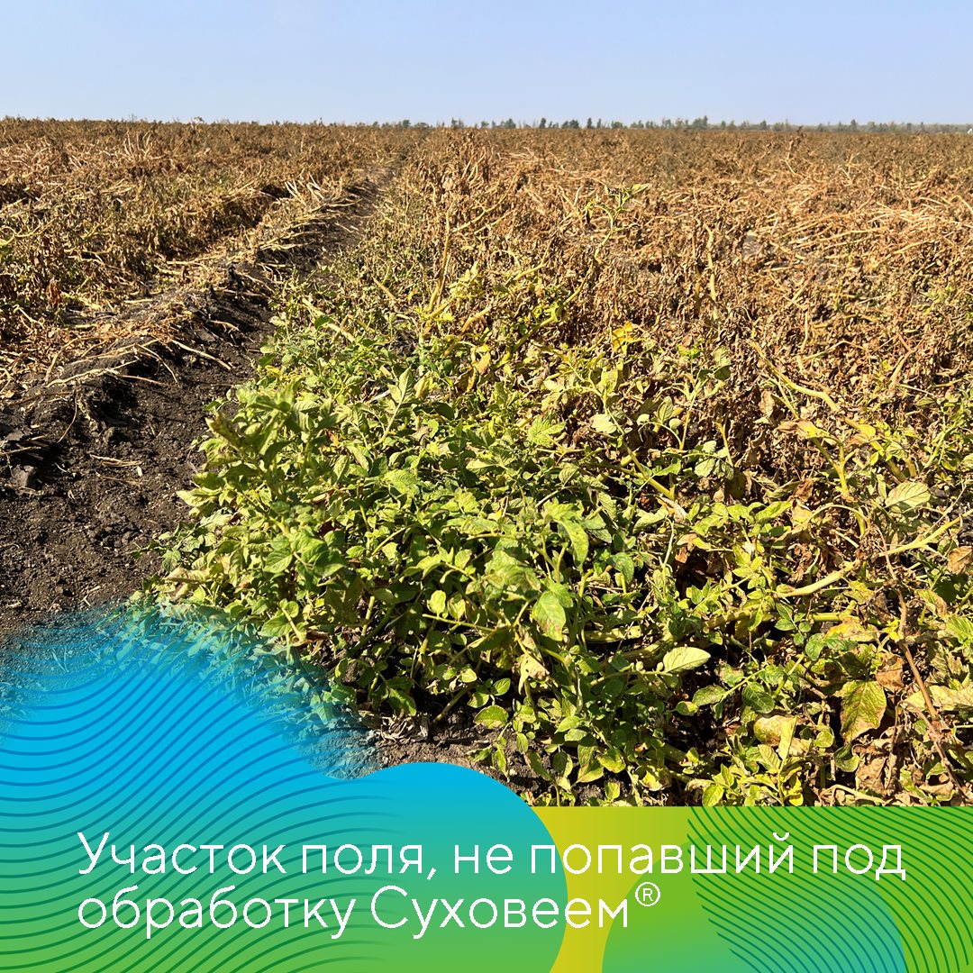 Пост 05.11.2024