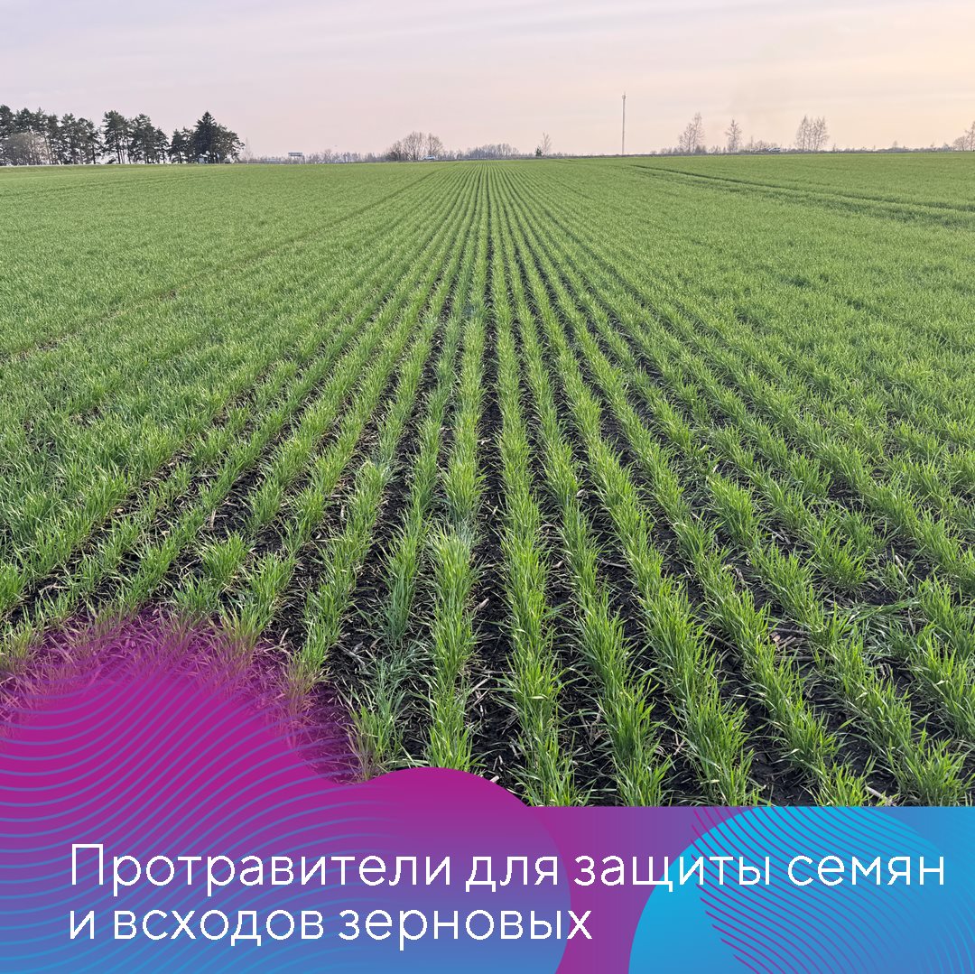 Пост 20.08.2025