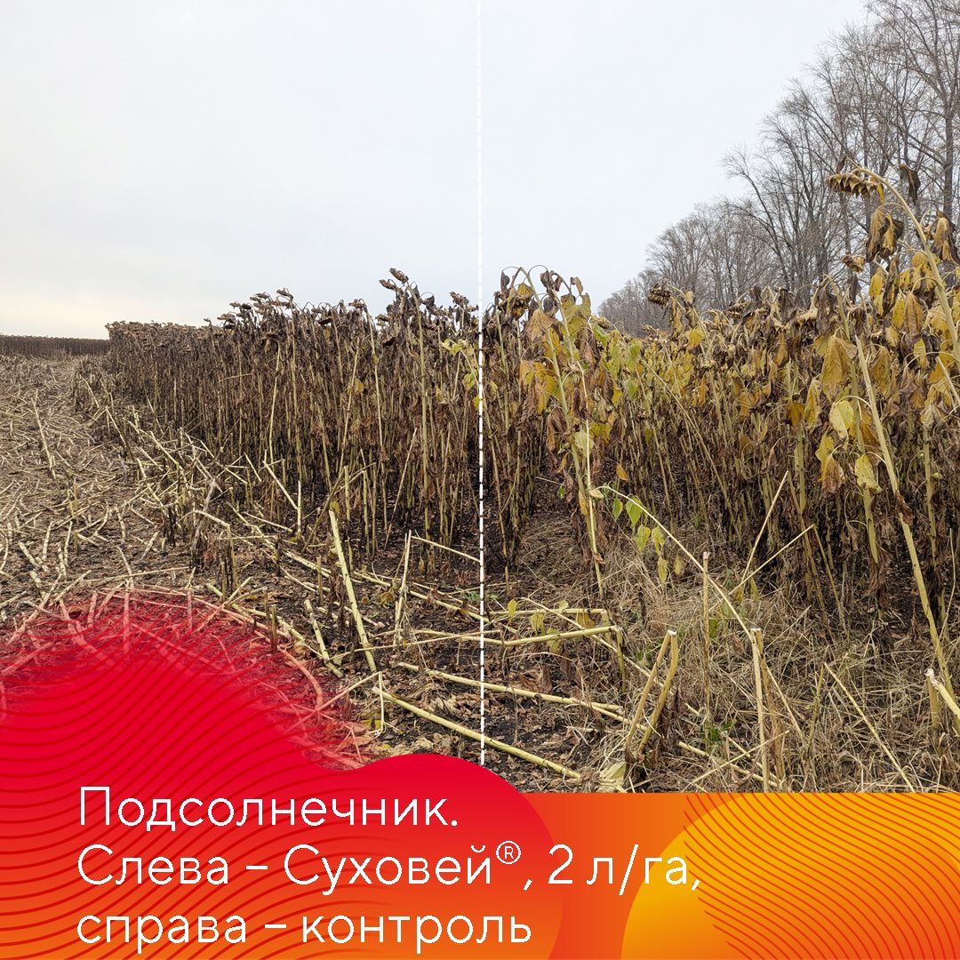 Пост 3.09.2025