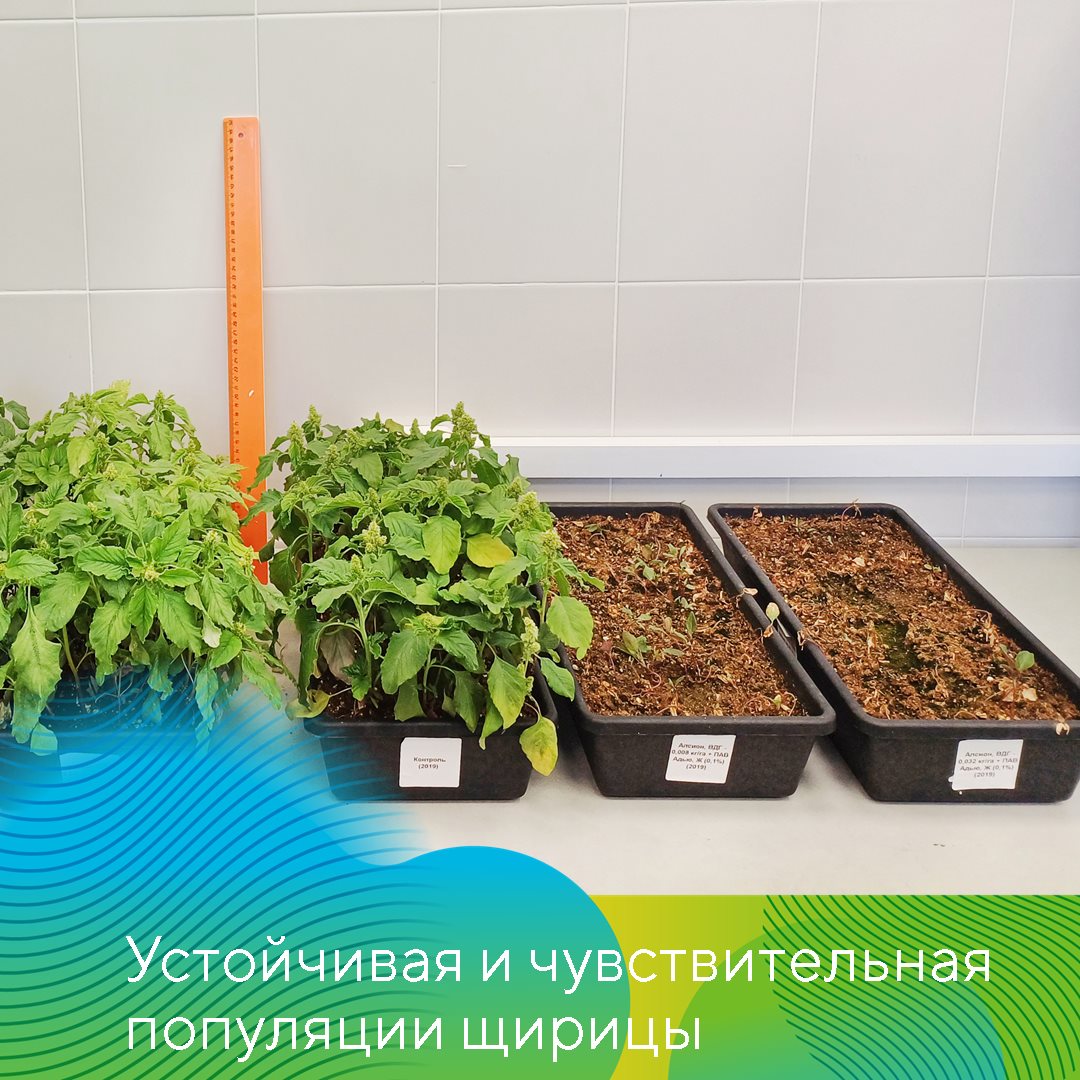 Пост 19.02.2025
