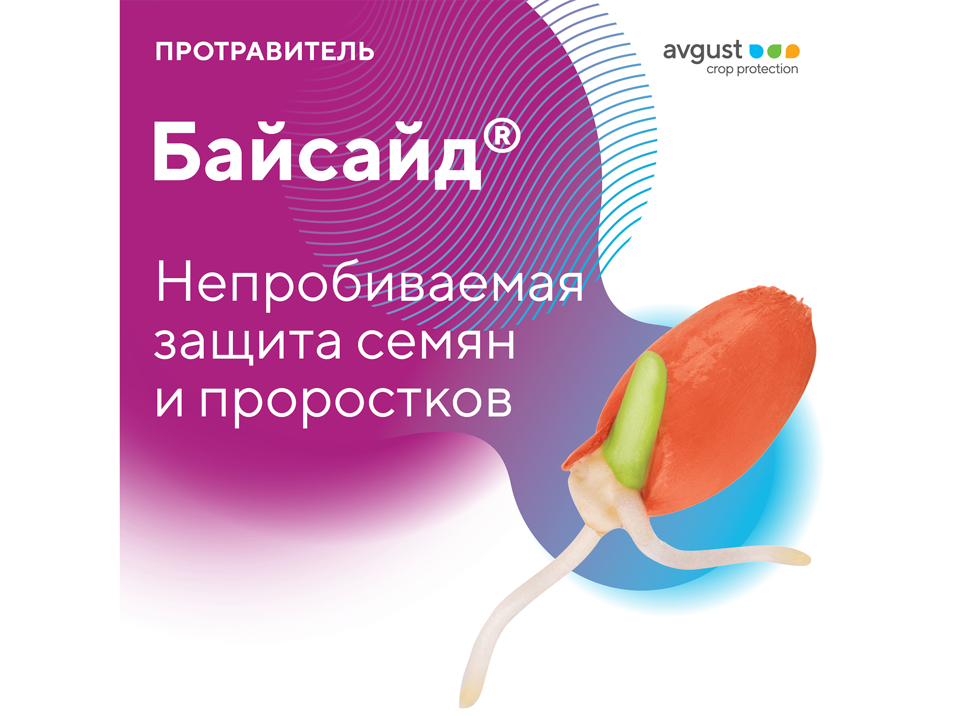 Байсайд® 10.07.24