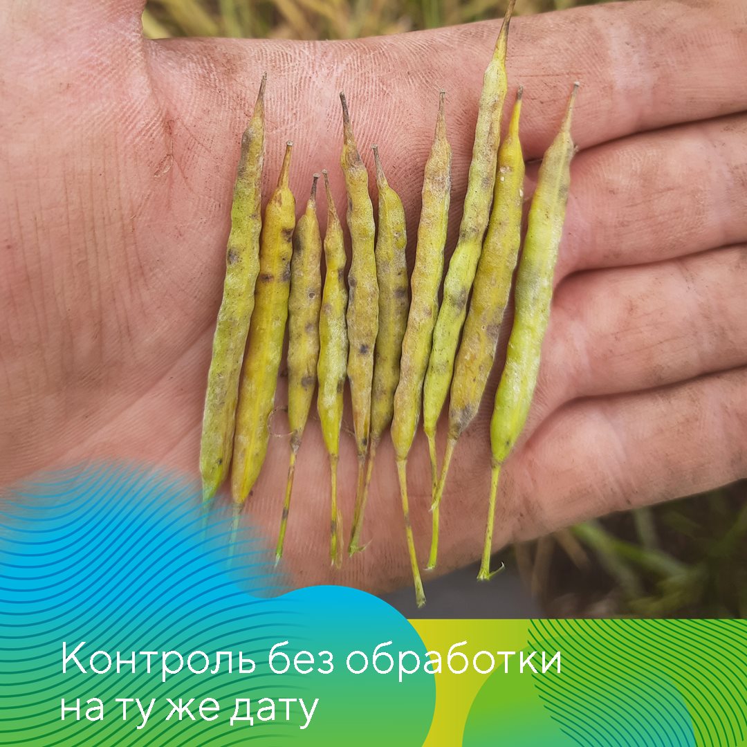 Пост 19.06.2025