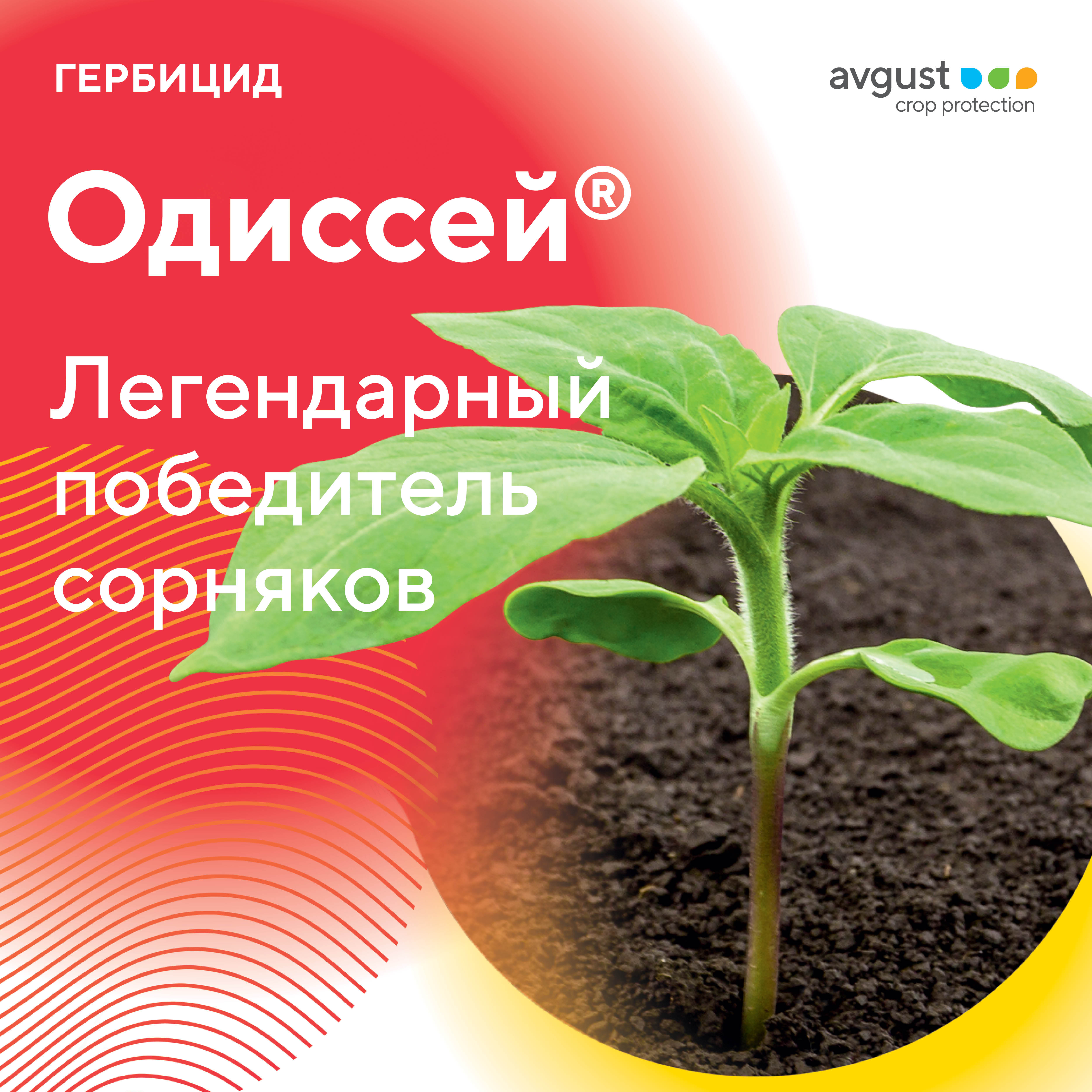 Одиссей 25.03