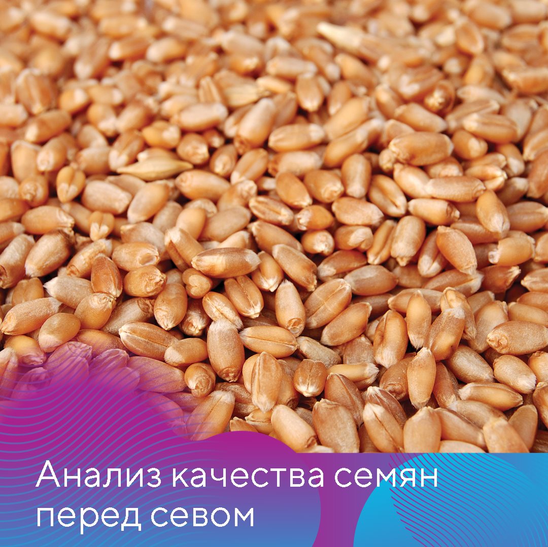Пост 12.08.2025