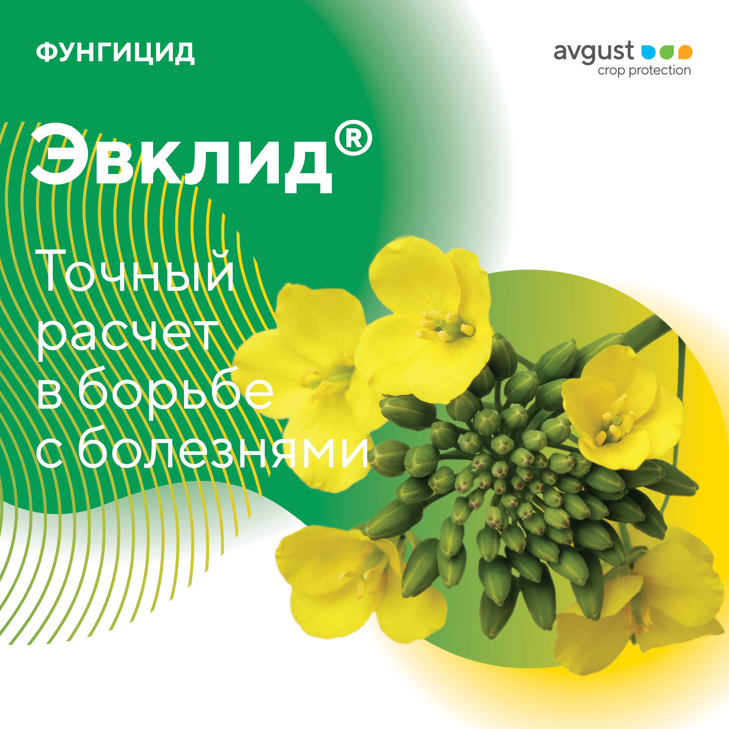Эвклид 13.05