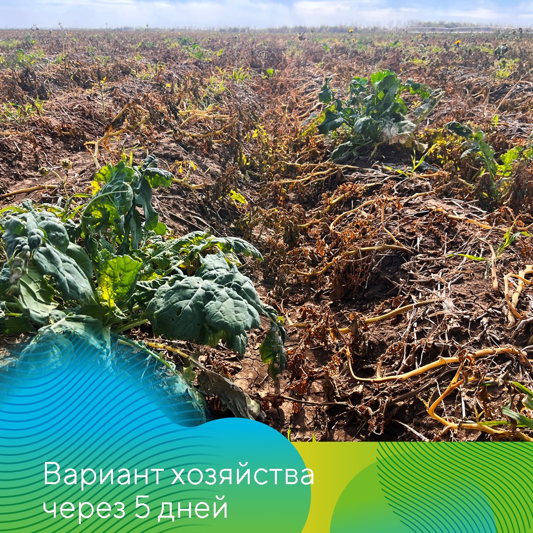 Пост 21.11.2024