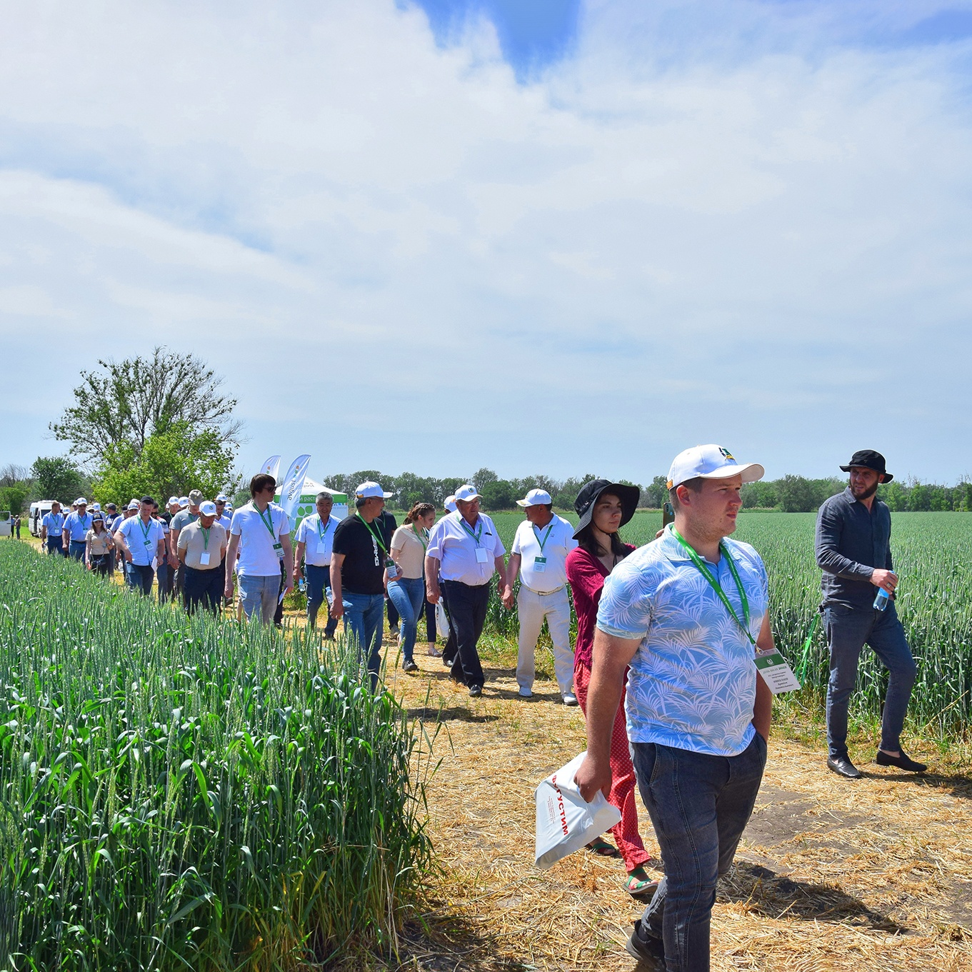 Конный завод имени С. М. Кирова из Ростовской области 