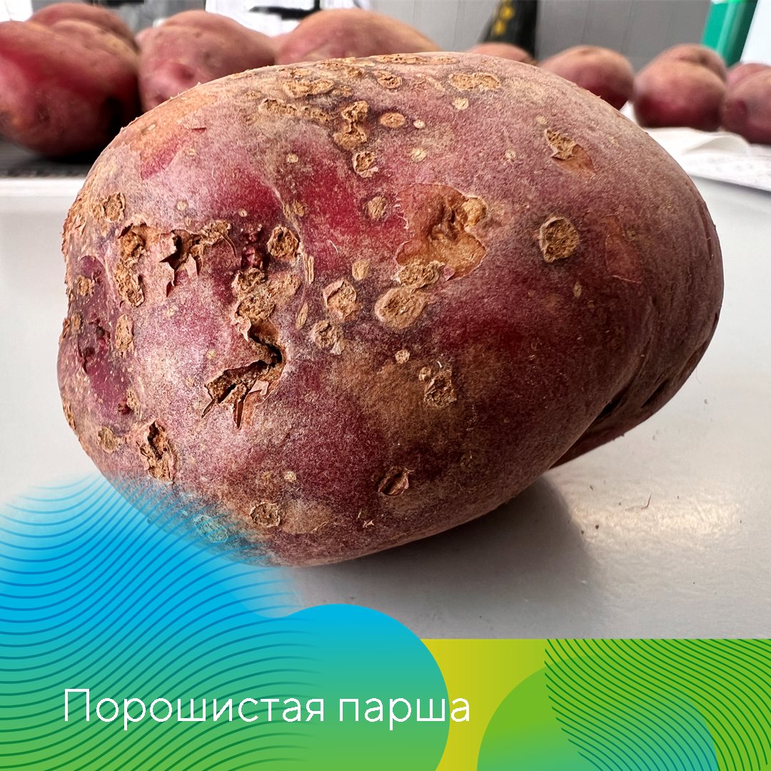 Екатерина Мурынкина 29.03