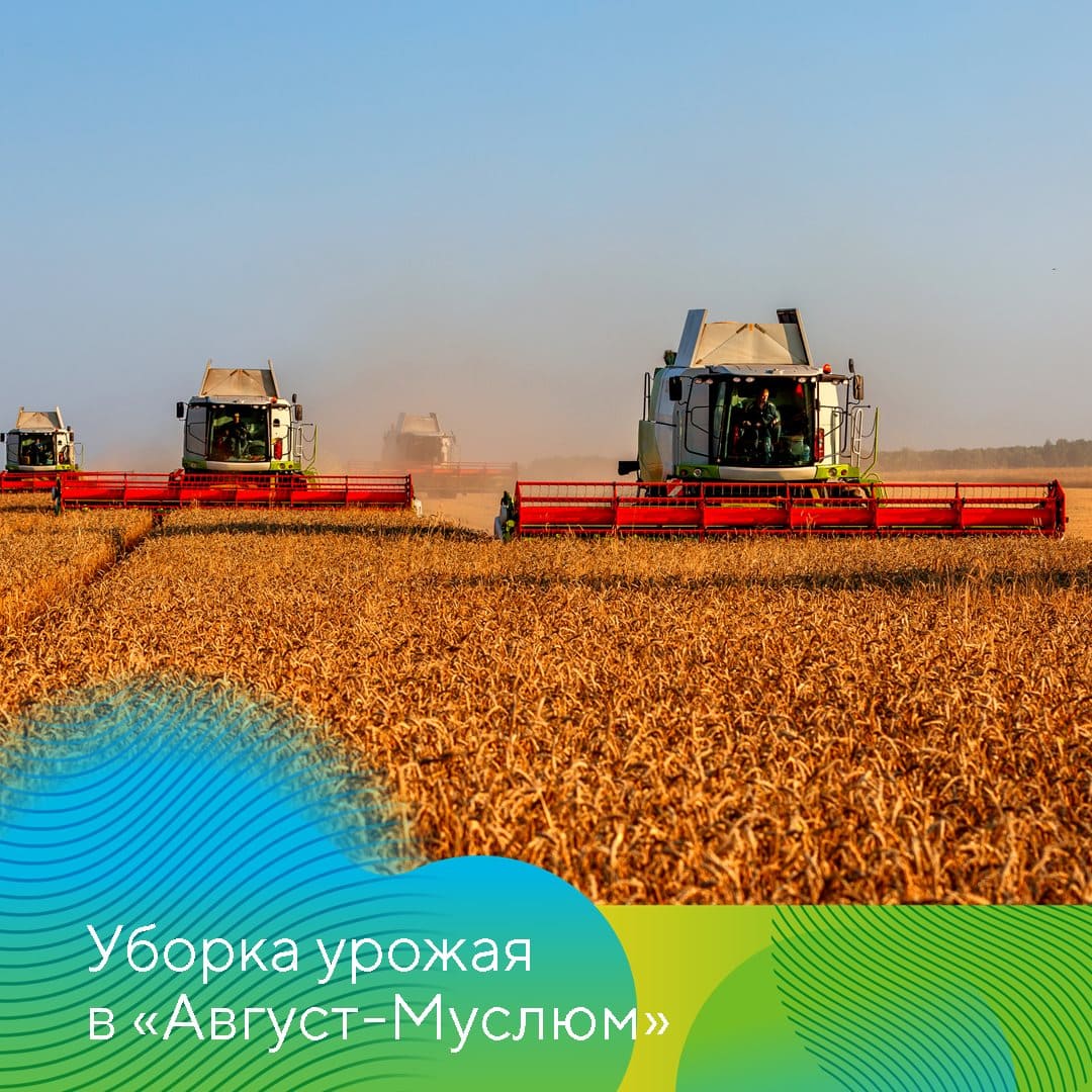 Новогоднее видеообращение к сотрудникам генерального директора 2022