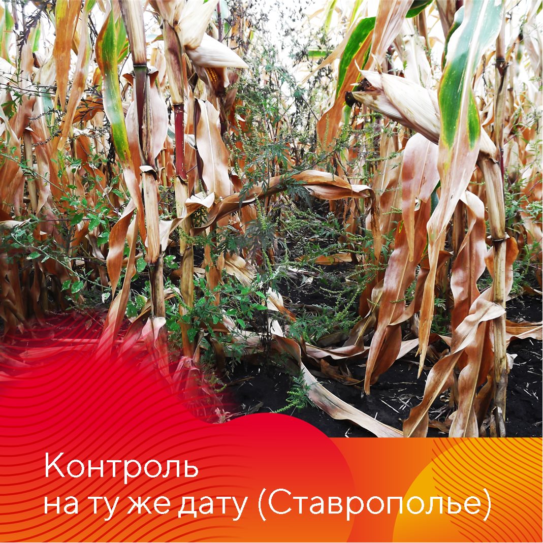 Пост 23.04.2025