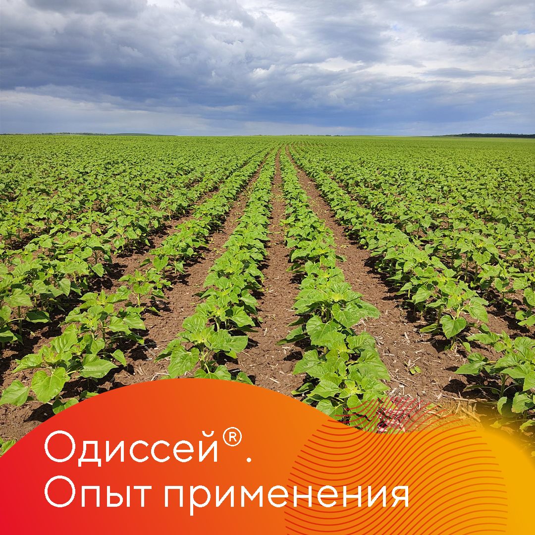 Одиссей, опыт применения