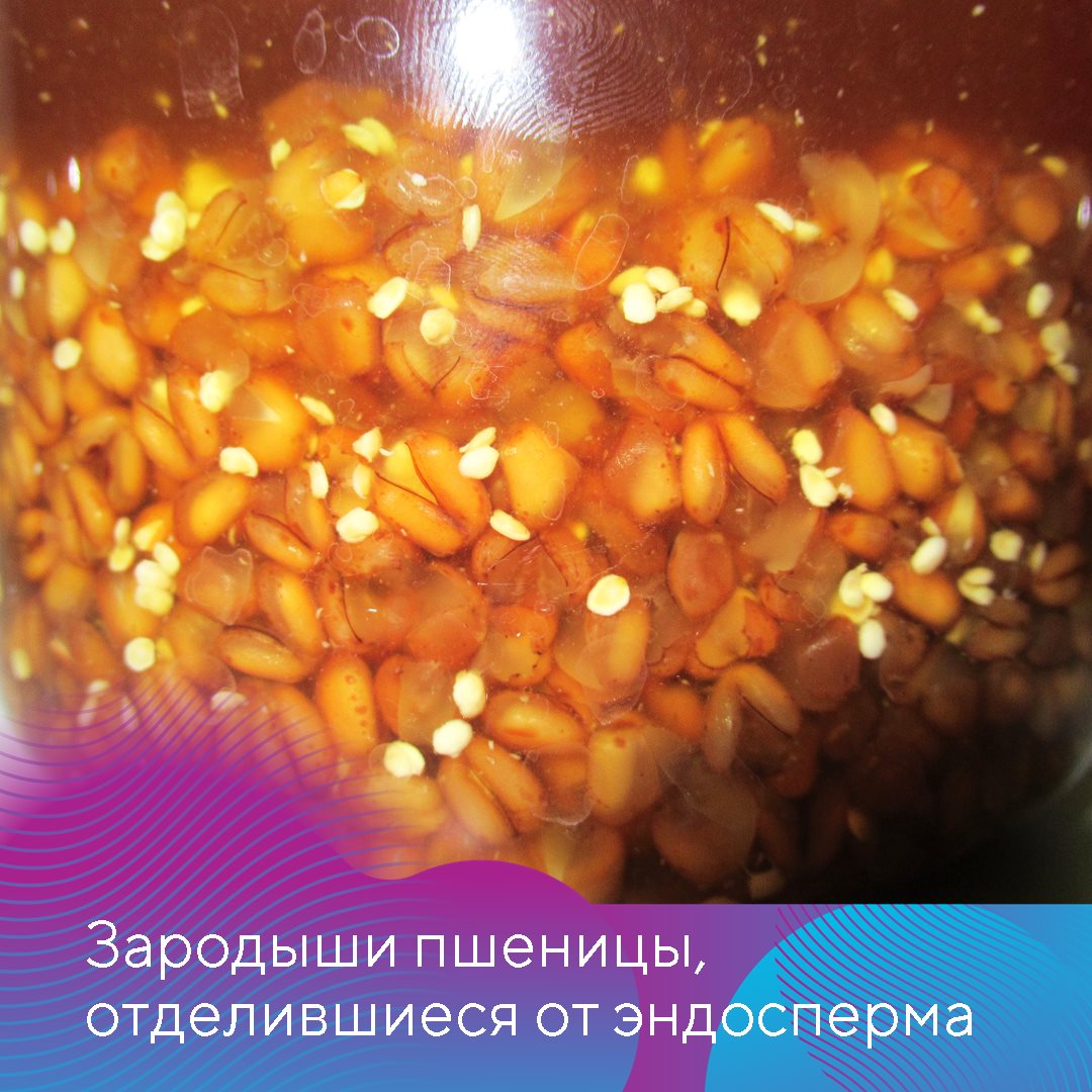 Пост 26.11.2024