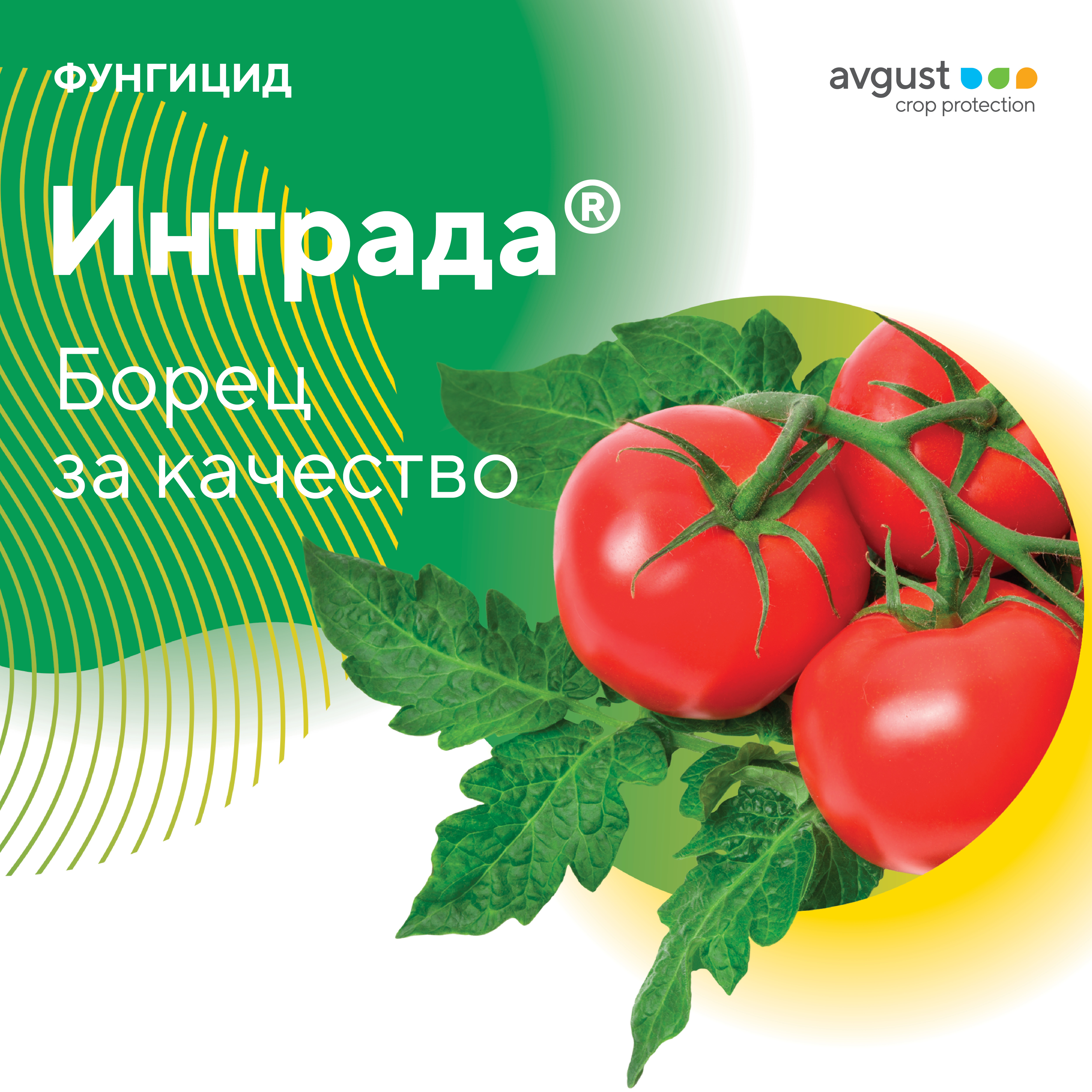 Интрада 16.01