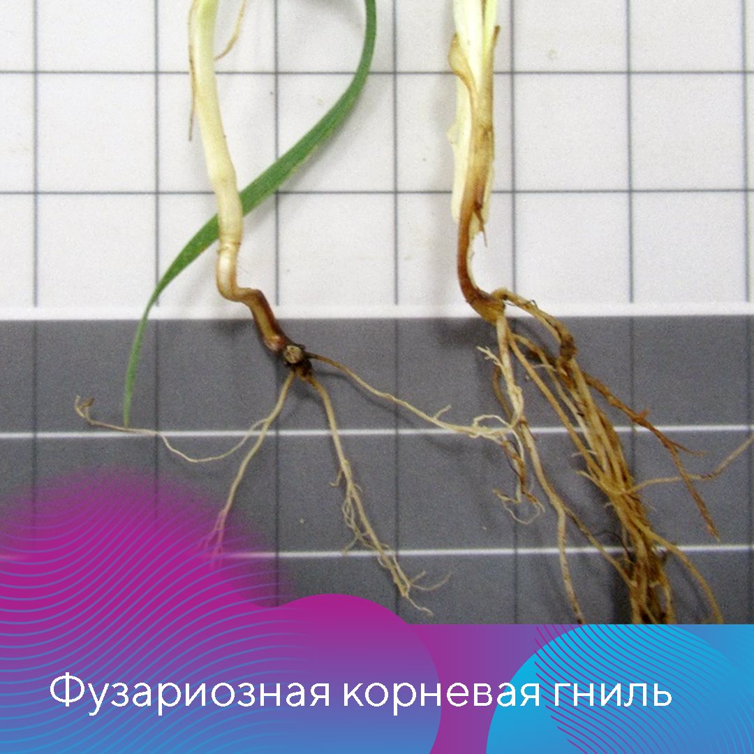 Пост 13.02.2026