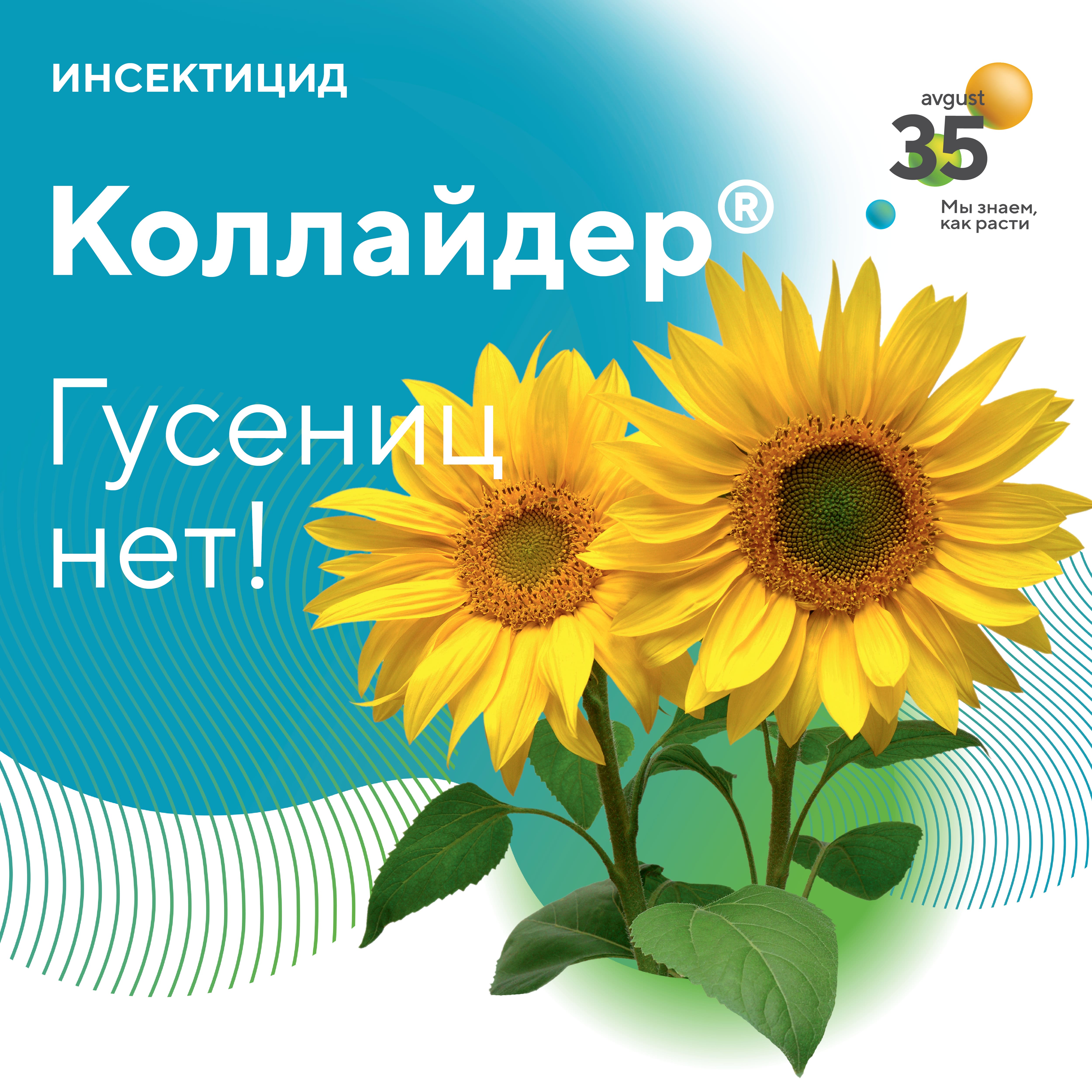Пост 11.08.2025