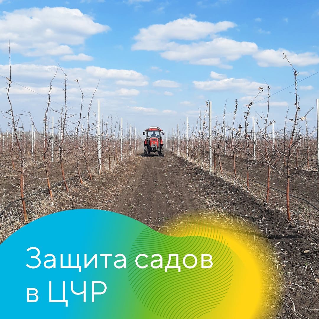 О защите садов в начале сезона-2023 в ЦР