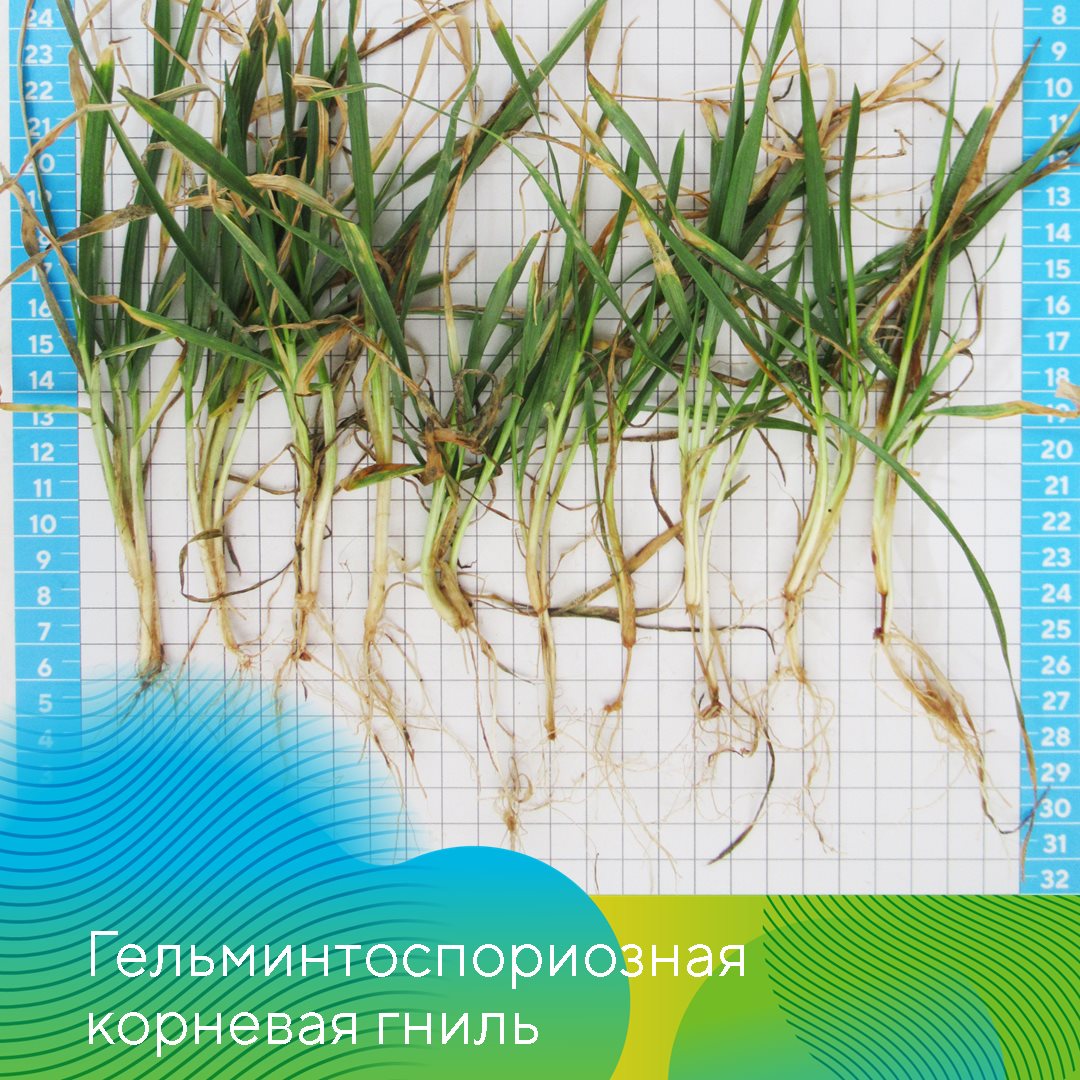 Пост 9.04.2026