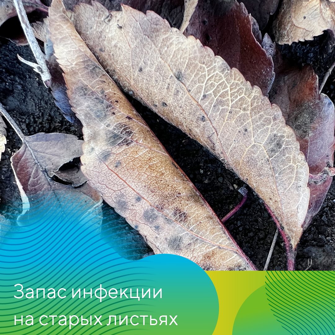 Пост 06.03.2025