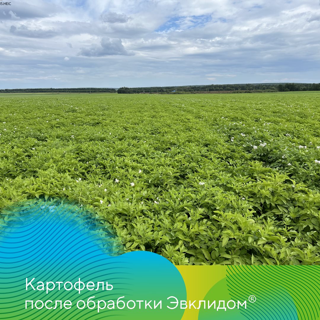 Пост 24.10.2024