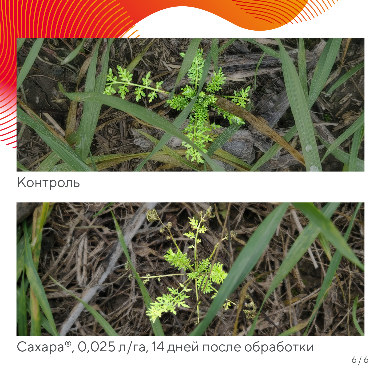 Пост 15.04.2026