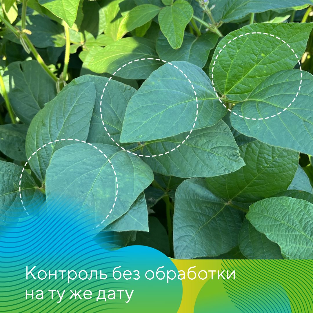 Пост 20.06.2025