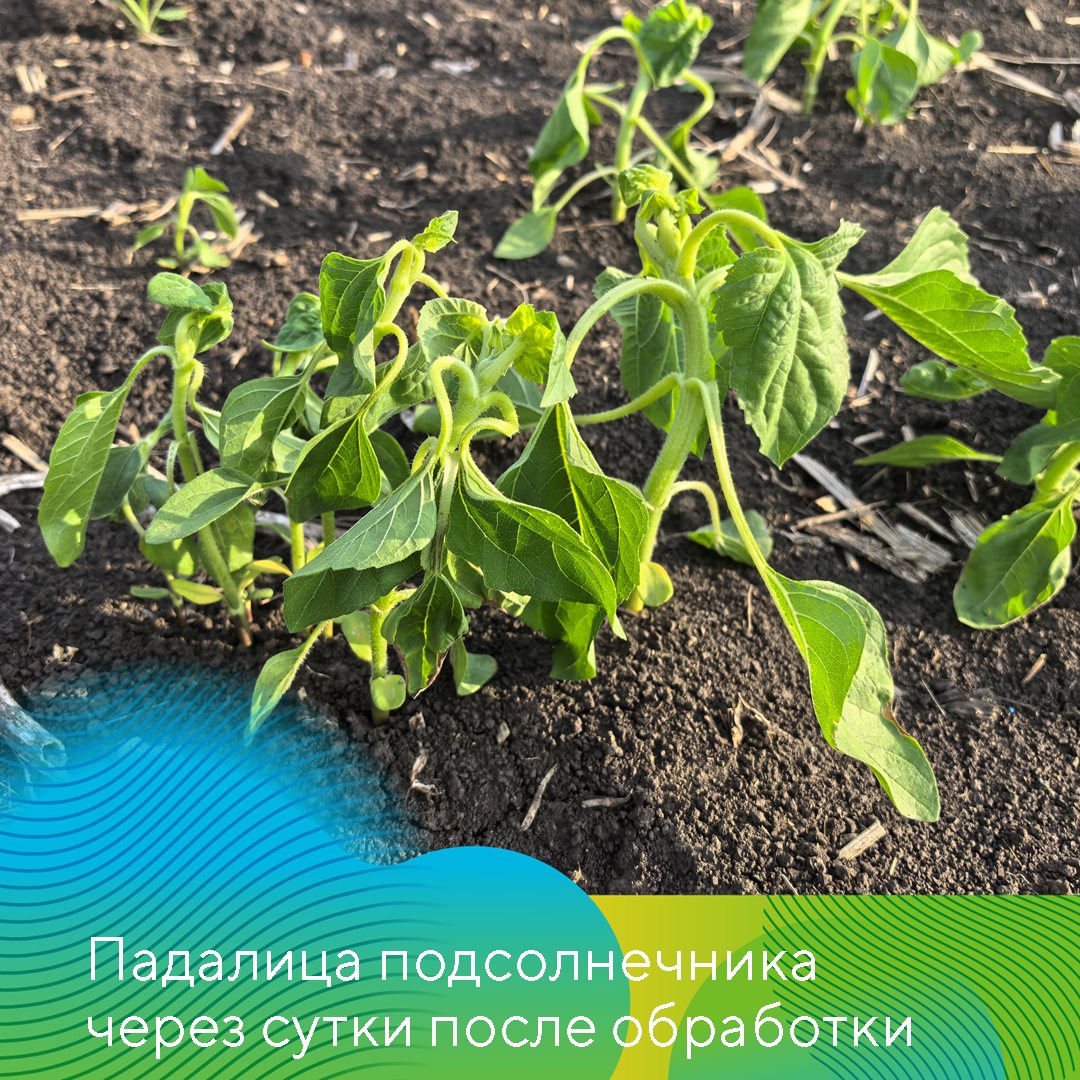 Пост 19122024