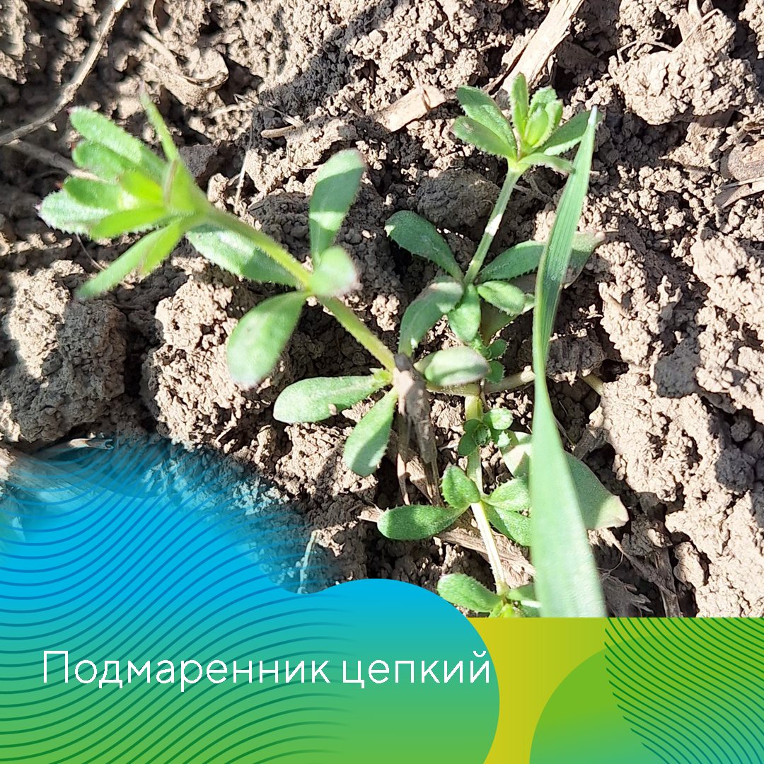 Пост 20.03.2025