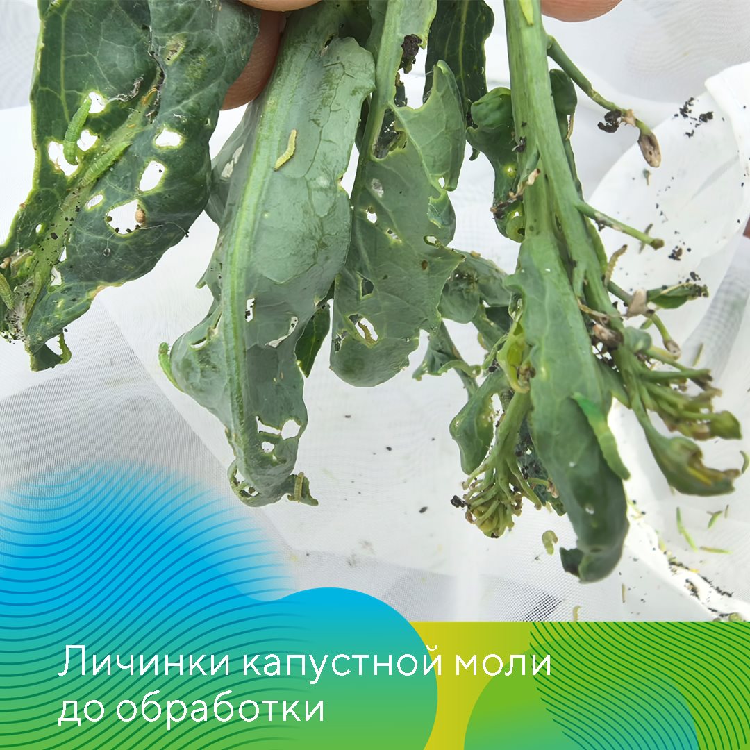 Пост 19122024