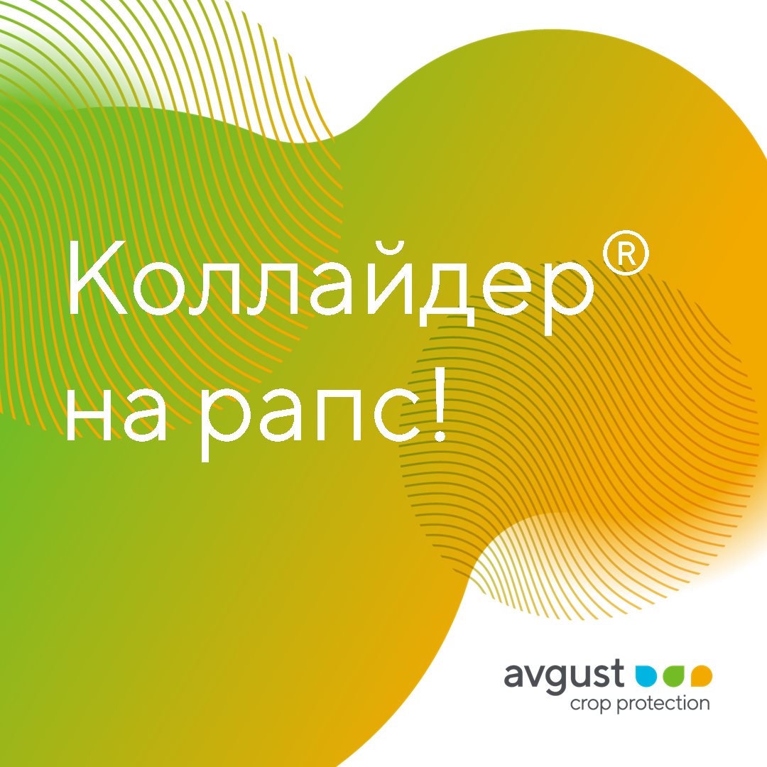 Пост 27.04.2026