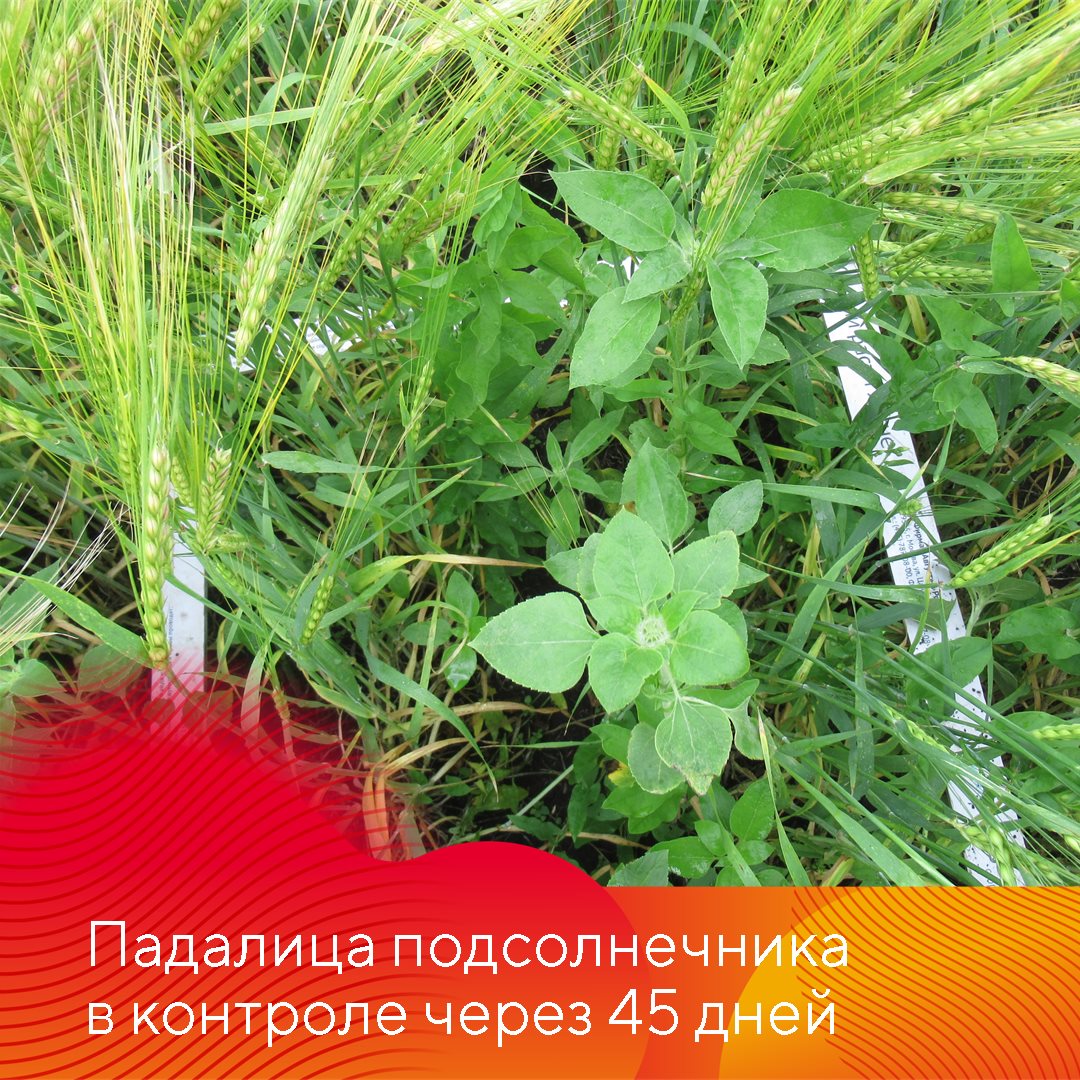 Пост 10.04.2025