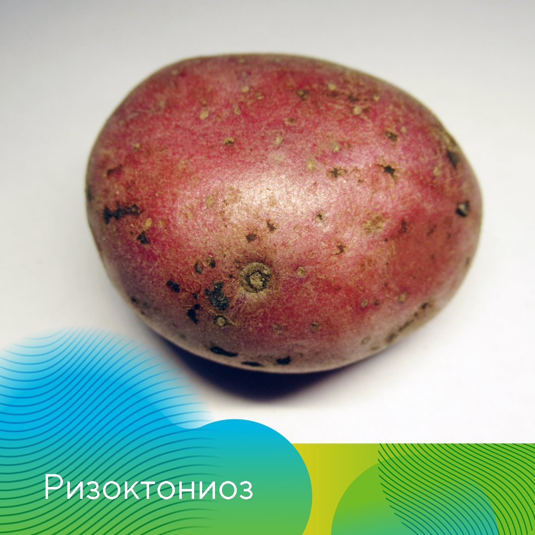 Пост 20.03.2026