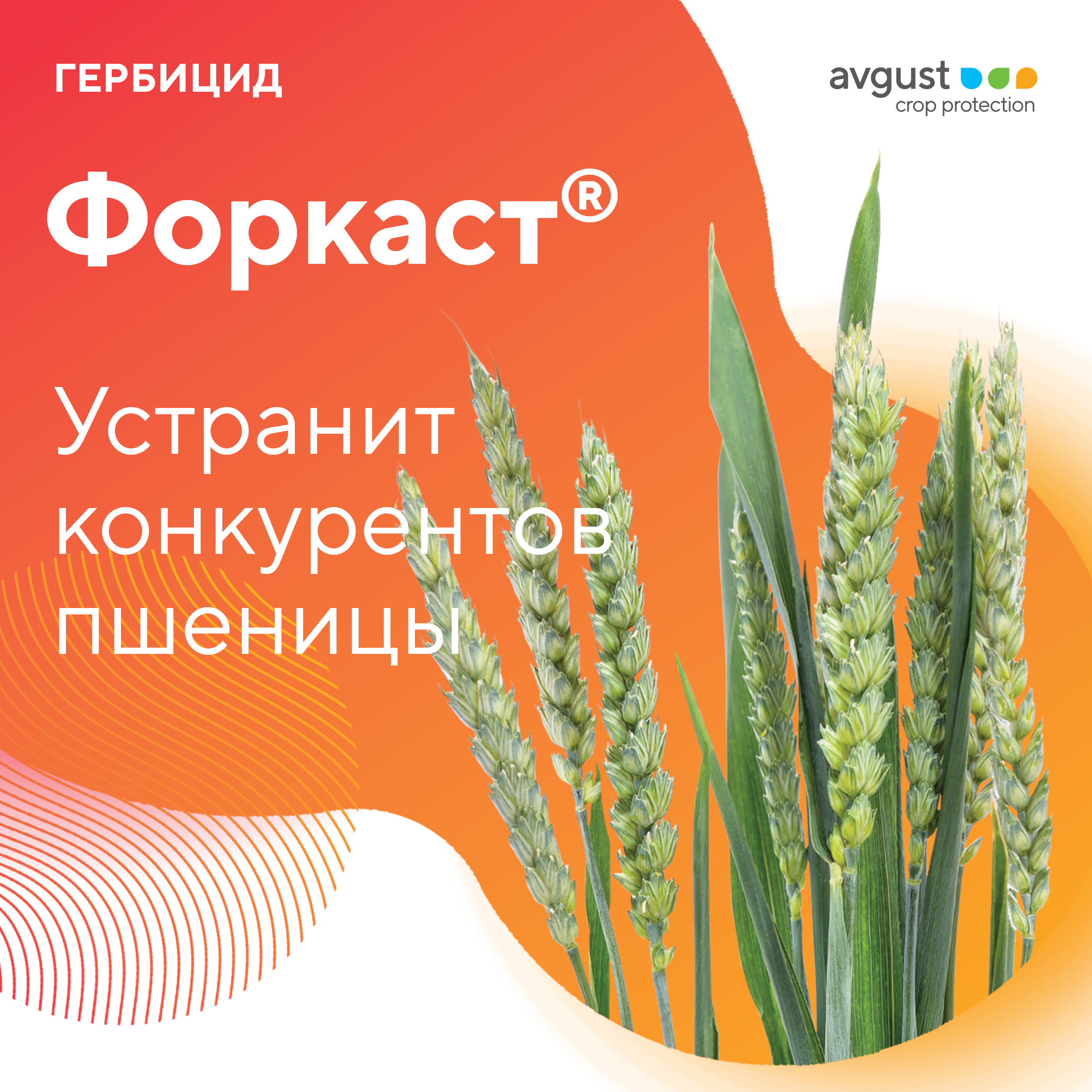 Форкаст 3.09