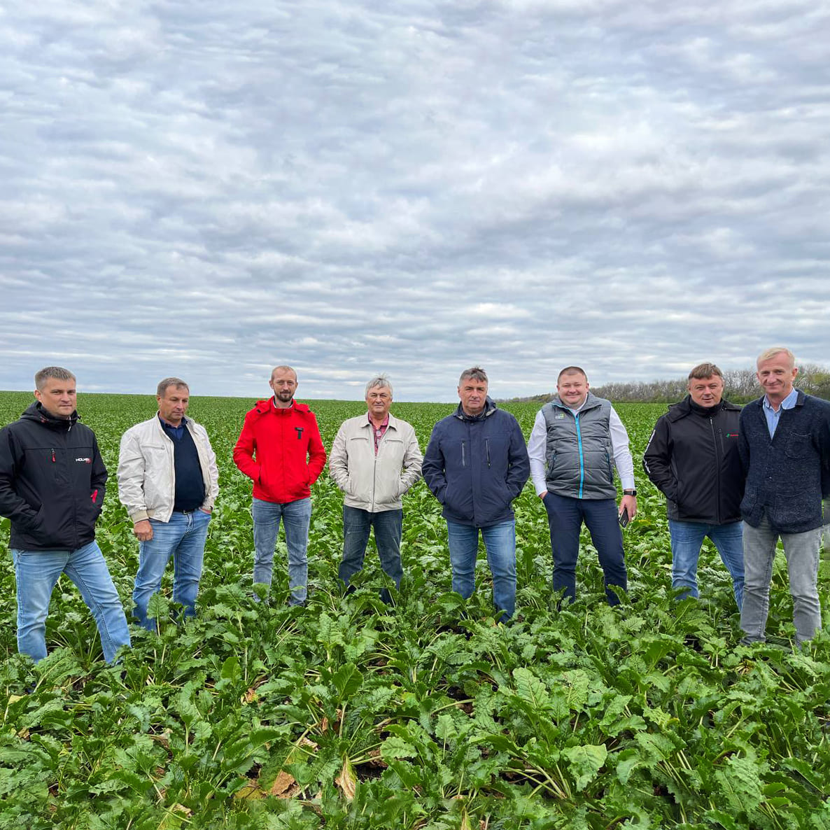 Поля сахарной свеклы ГК «Русагро» в Орловской и Белгородской областях